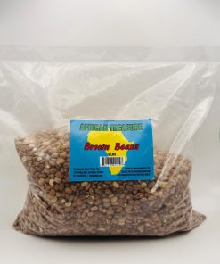 Brown beans